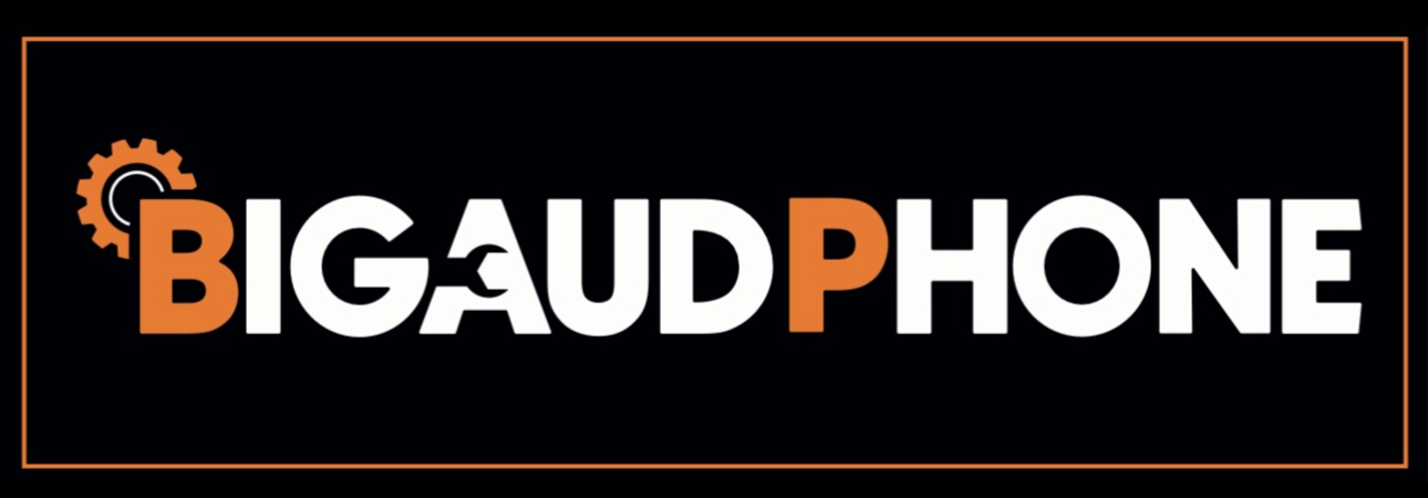 BigaudPhone Logo